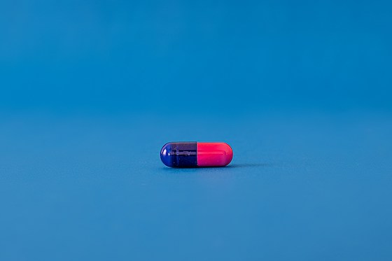 Supplement